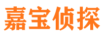 镇原市私家侦探